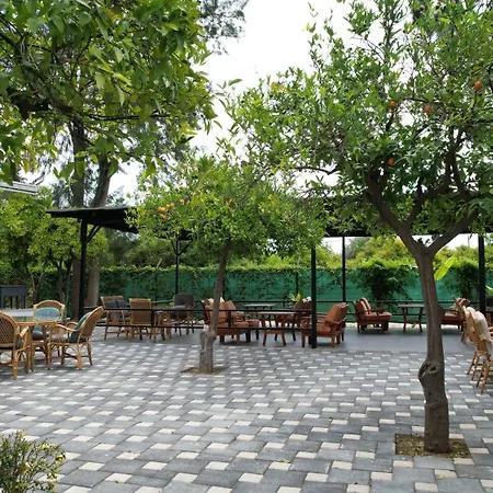 Hotel The Nix Kemer 4*